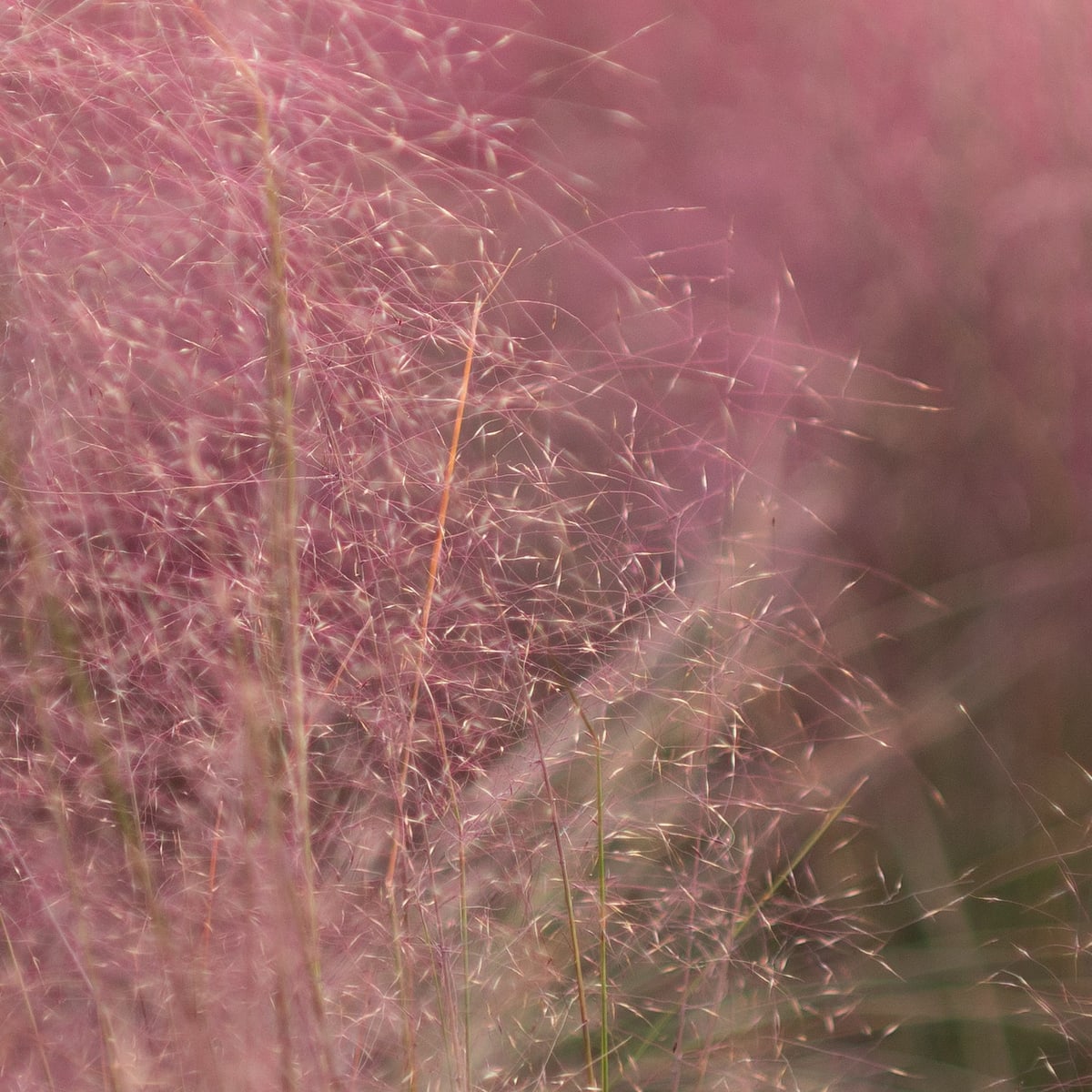 MK-35MM F0.95 Aps-C E