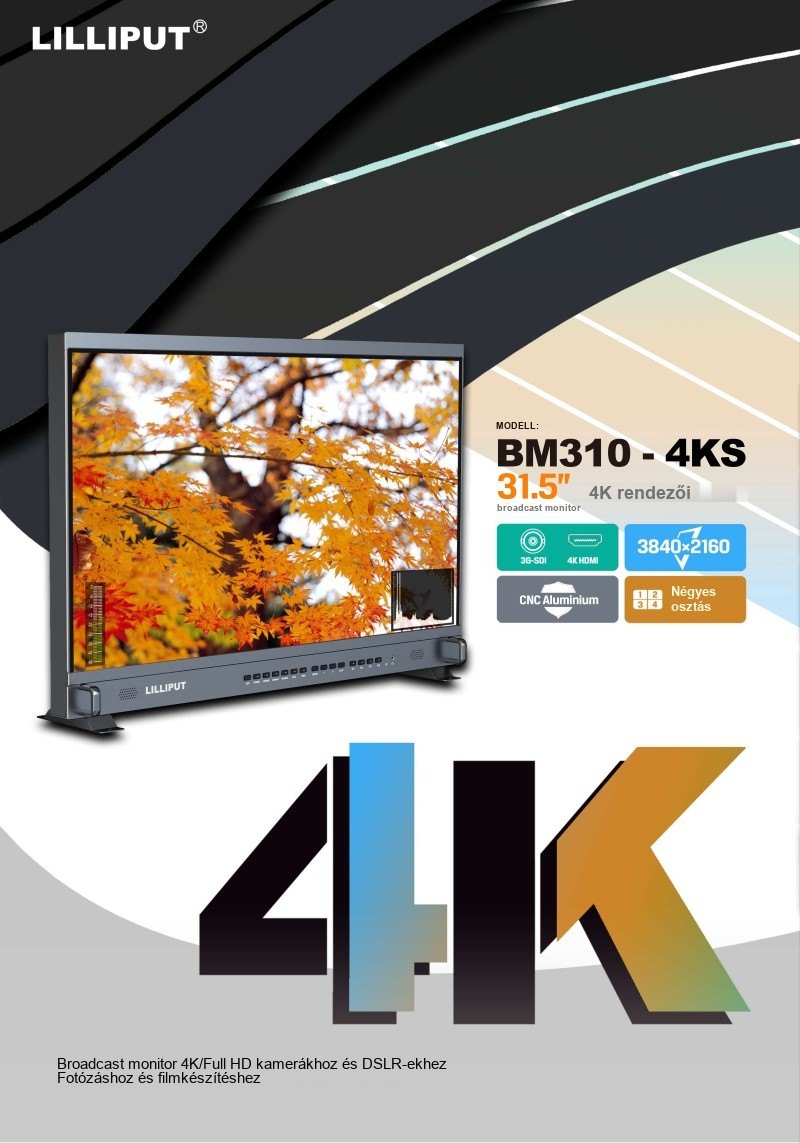 Lilliput BM310-4KS – infografika 1