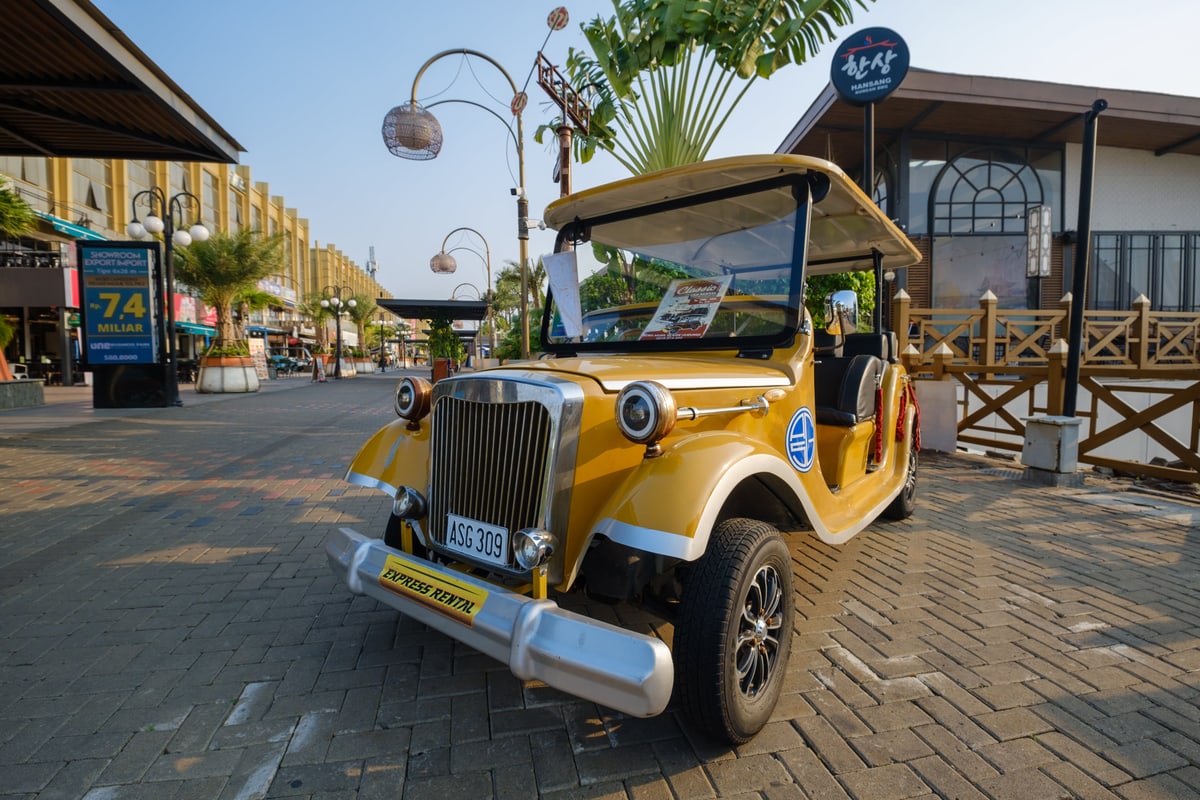 MK-10MM F2.0 Aps-C X