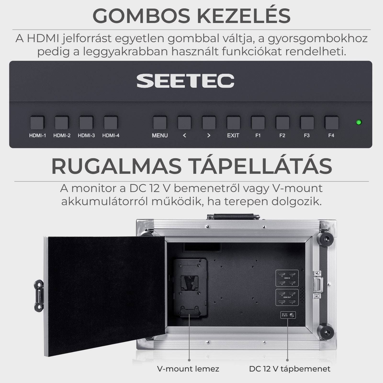 SEETEC ATEM156-CO