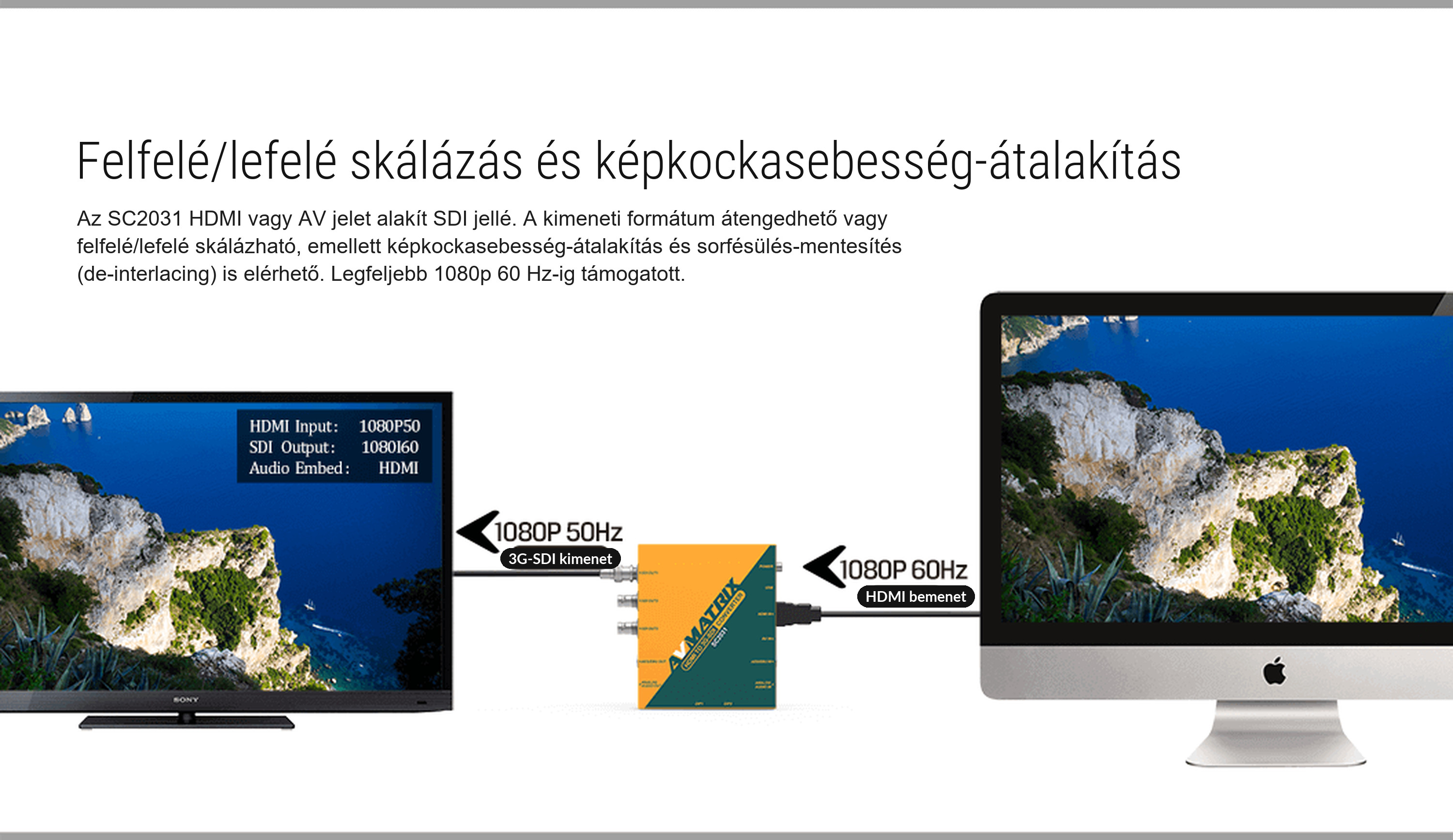 AVMATRIX SC2031X – infografika