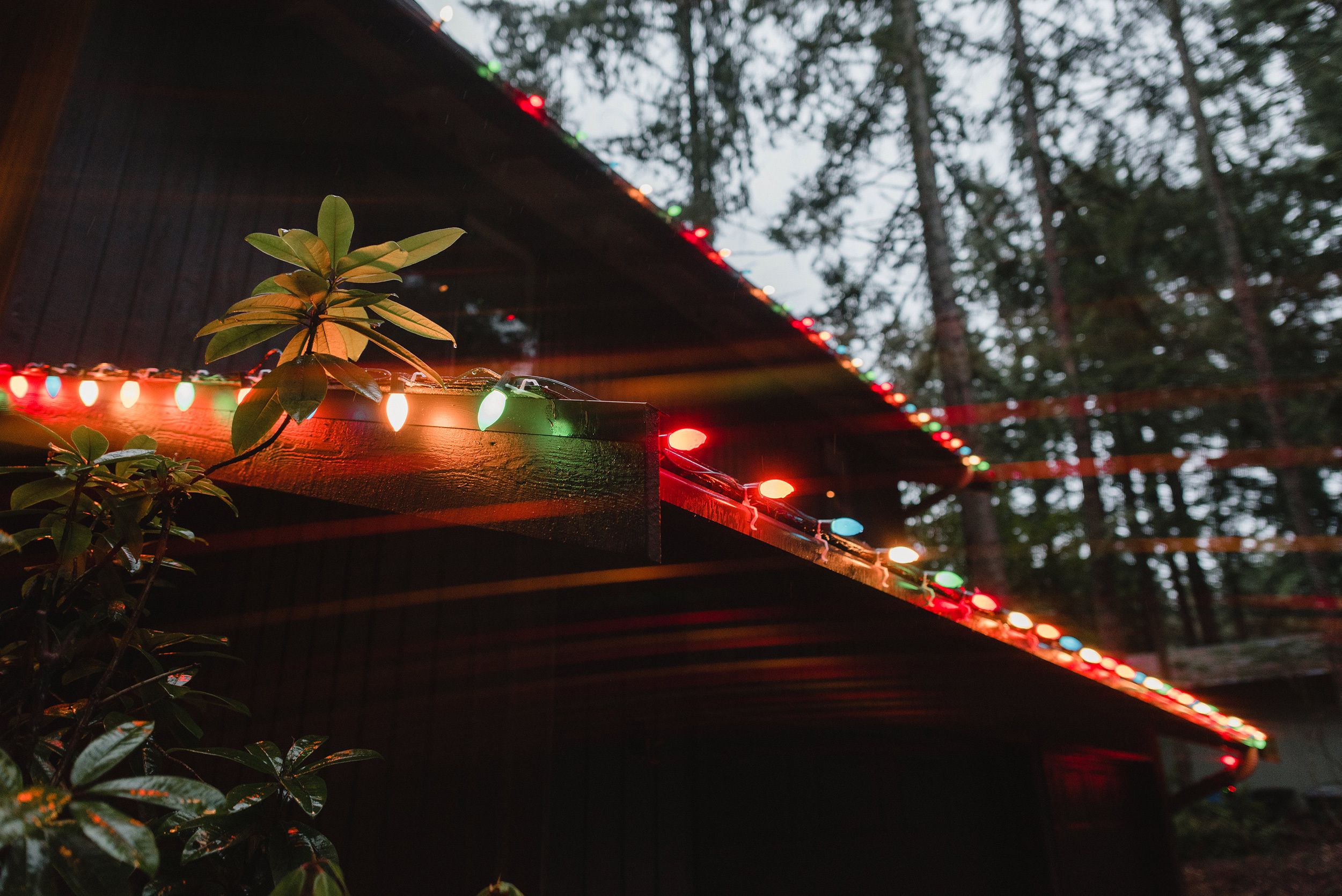 67mm Moment CineFlare Gold Streak Filter in use