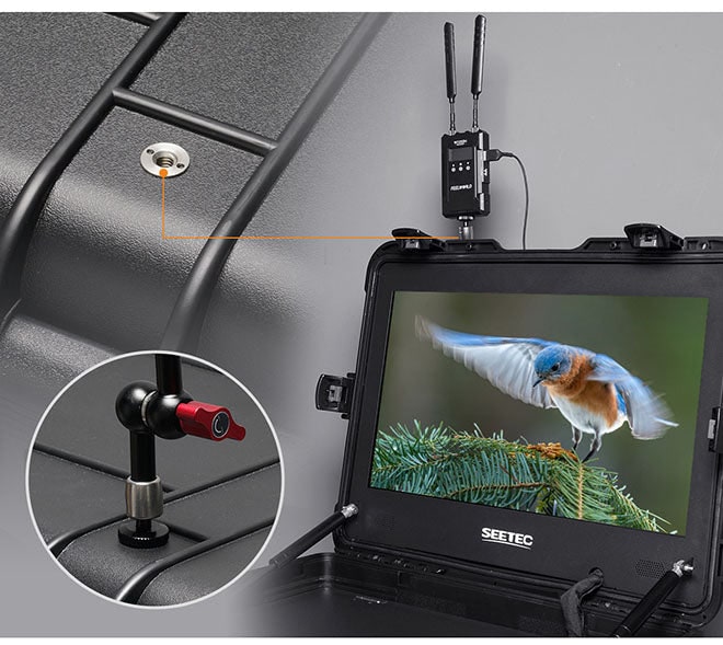 SEETEC WPC215