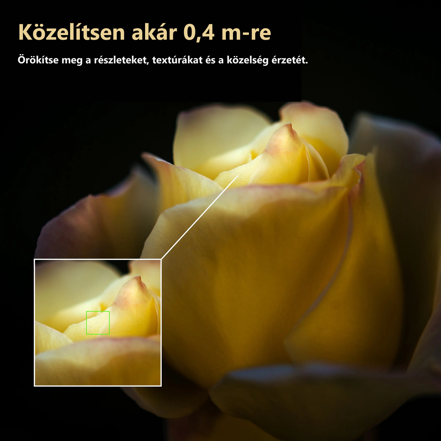 Simera 28 mm – oficiální ukázka minimálního zaostření 0,4 m