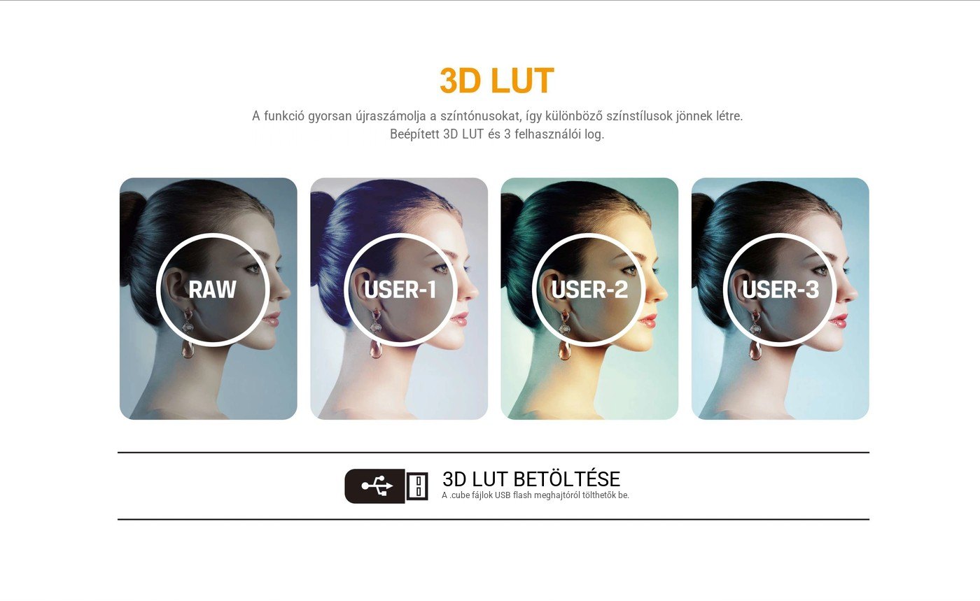 Lilliput BM281-4KS – infografika 4
