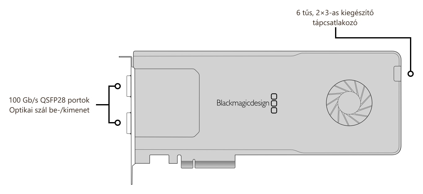 DeckLink IP 100G – Csatlakozók