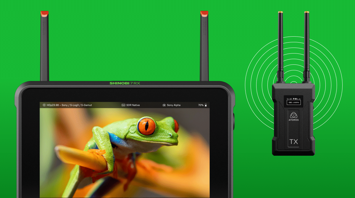 Atomos Shinobi 7 RX és Atomos TX vezeték nélküli adó