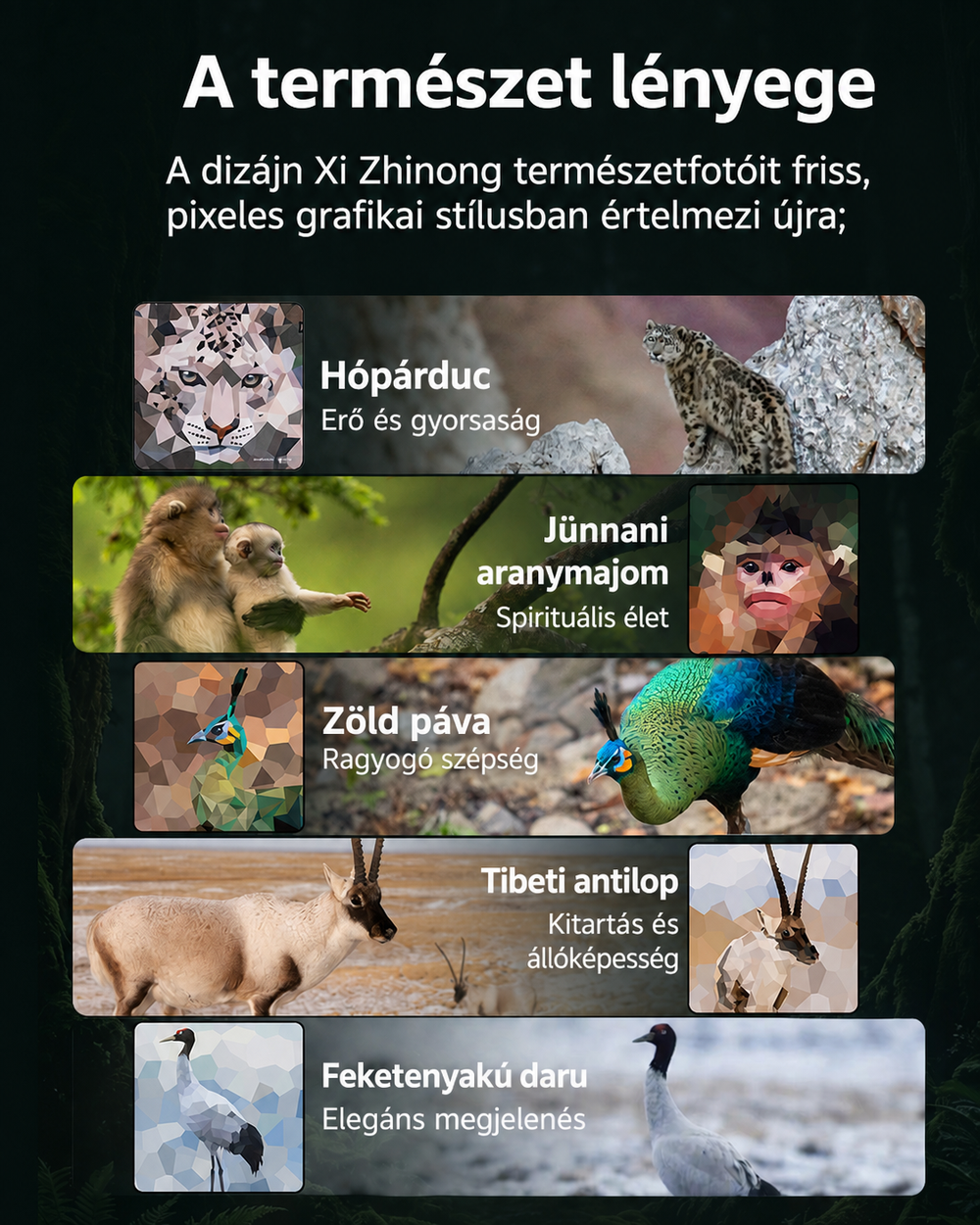 SmallRig 5925 infographic 02