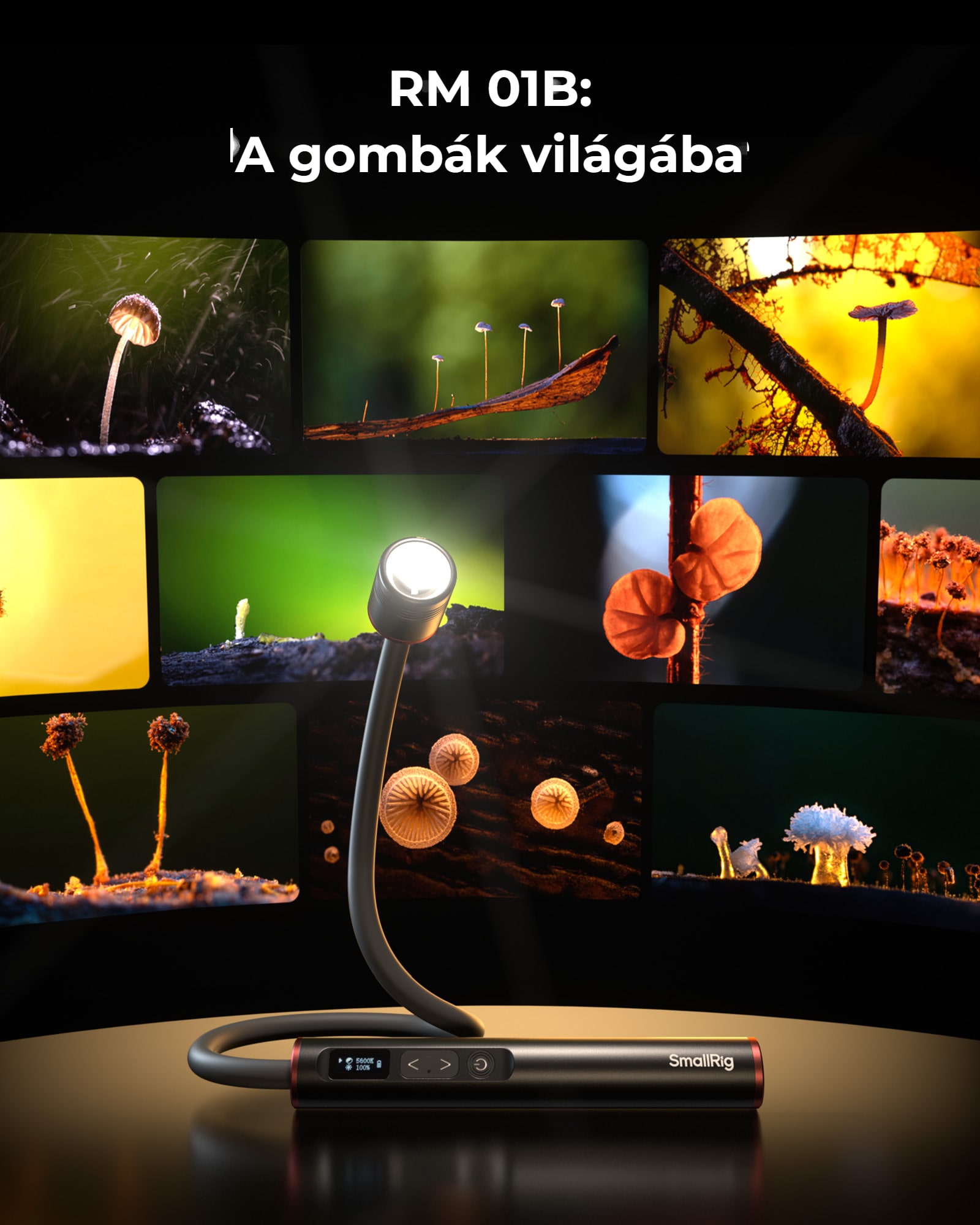 SmallRig RM 01B LED Macro Arm Light 6225 HU 3