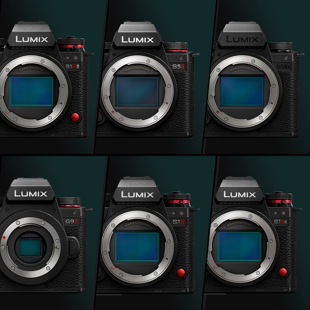 Hat Lumix váz, egy kalitka
